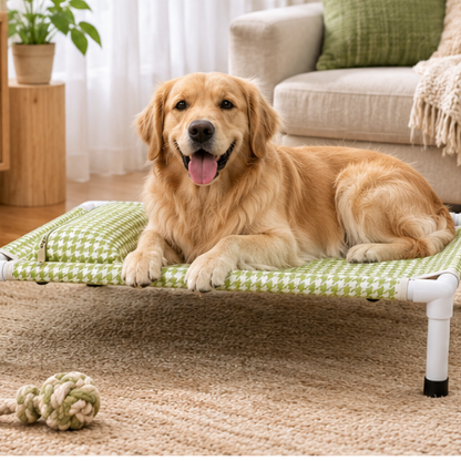 Green Houndstooth Elevated Pet Cot