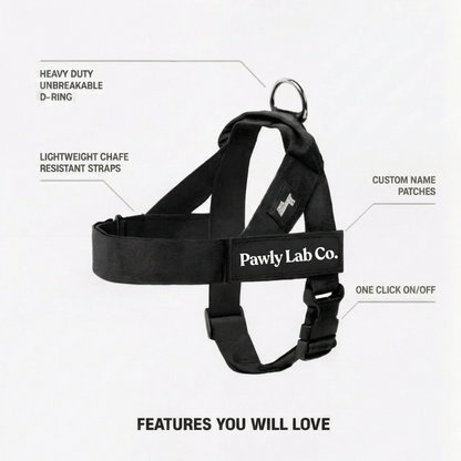 No-Pull Harness