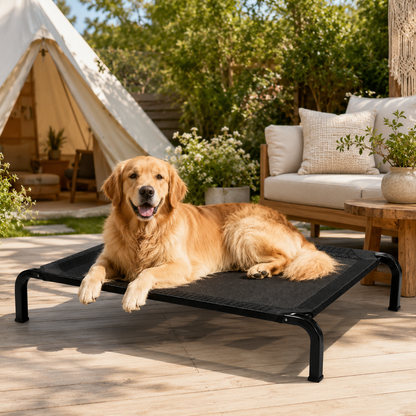 Elevated Breathable Dog Bed