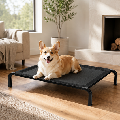 Elevated Breathable Dog Bed